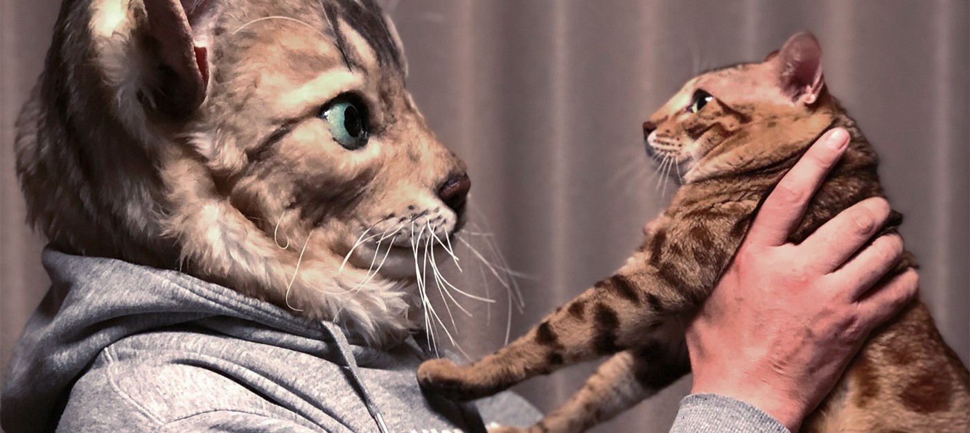 Японский сервис предлагает купить маску кота, основанную на реальном питомце