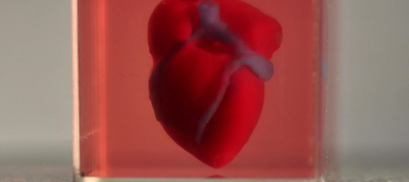 Ученые напечатали на 3D-принтере живое сердце