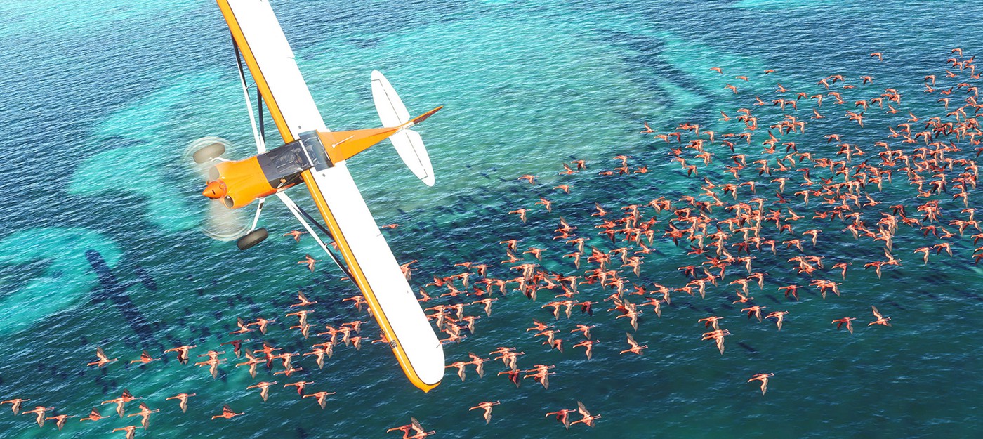 После новых геймплейных роликов Microsoft Flight Simulator 2020 вам захочется летать