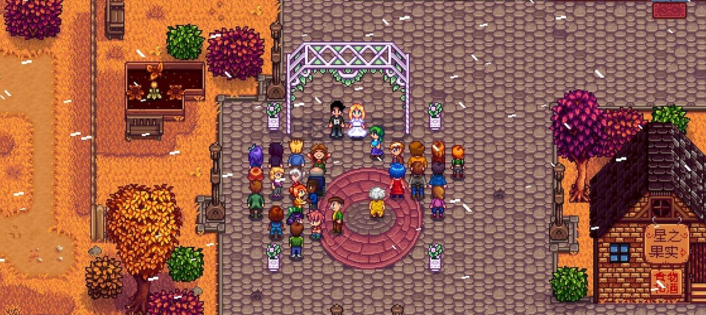 Апдейт Stardew Valley покажет глубину отношений в браке