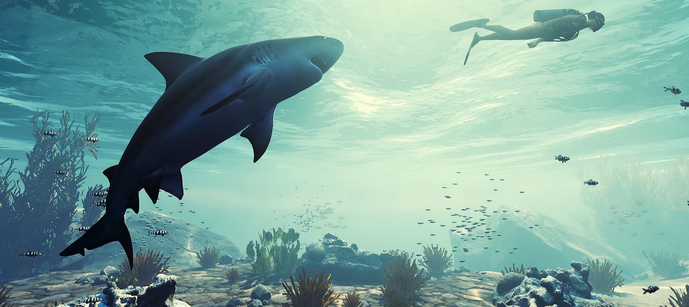 Непростая жизнь кровожадной акулы в дневнике разработчиков Maneater
