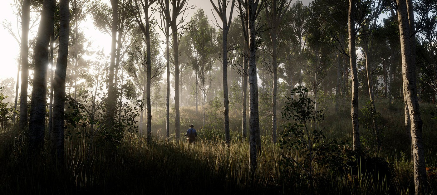 Моддер: VR-мод для Red Dead Redemption 2 маловероятен из-за слабого железа на рынке