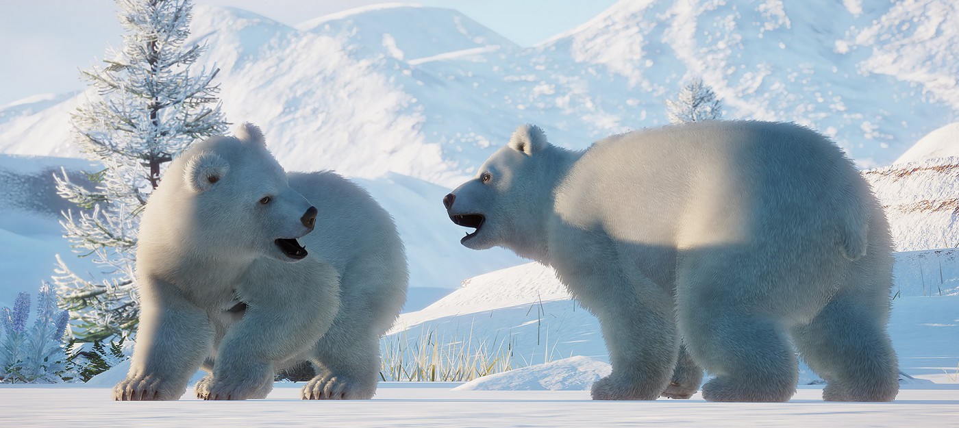 Белые мишки, полярное сияние и снежная Норвегия в трейлере DLC Arctic Pack для Planet Zoo