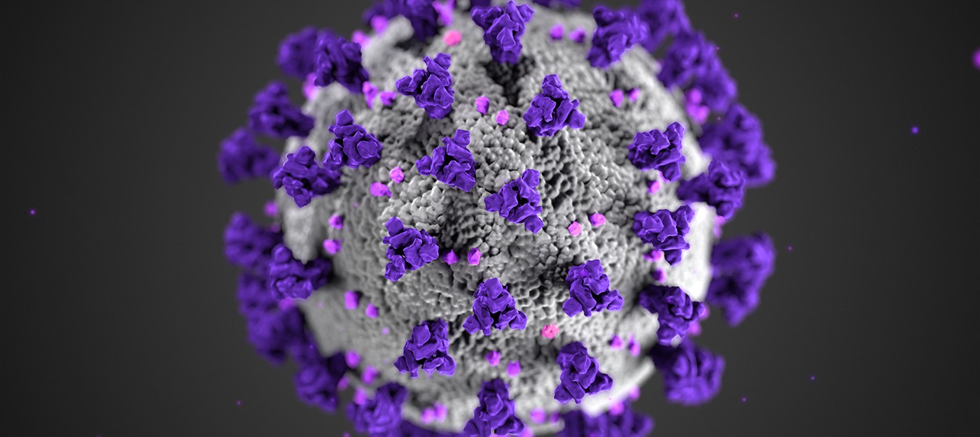 Теперь ваш компьютер может помогать ученым бороться с коронавирусом