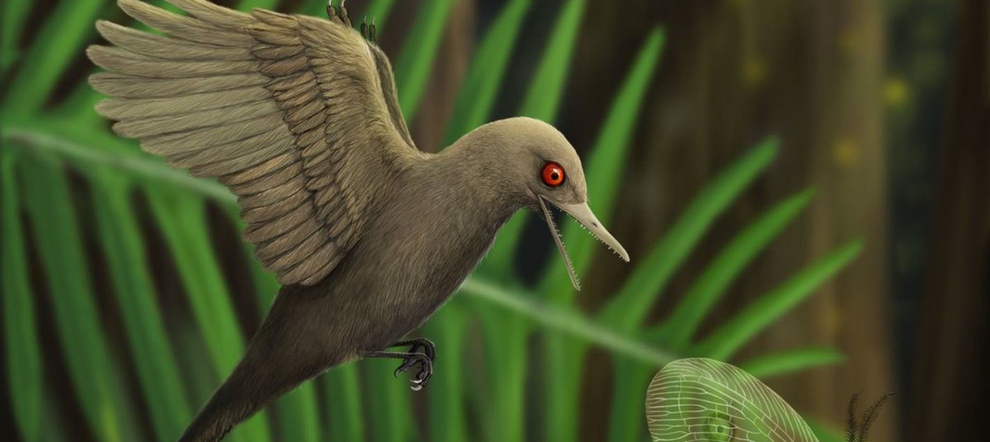 В янтаре нашли динозавра размером с колибри