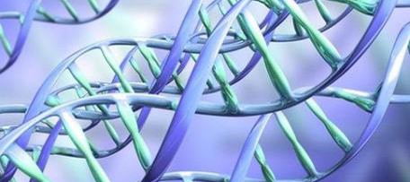 Ученые представили первые результаты проекта «1000 геномов человека»