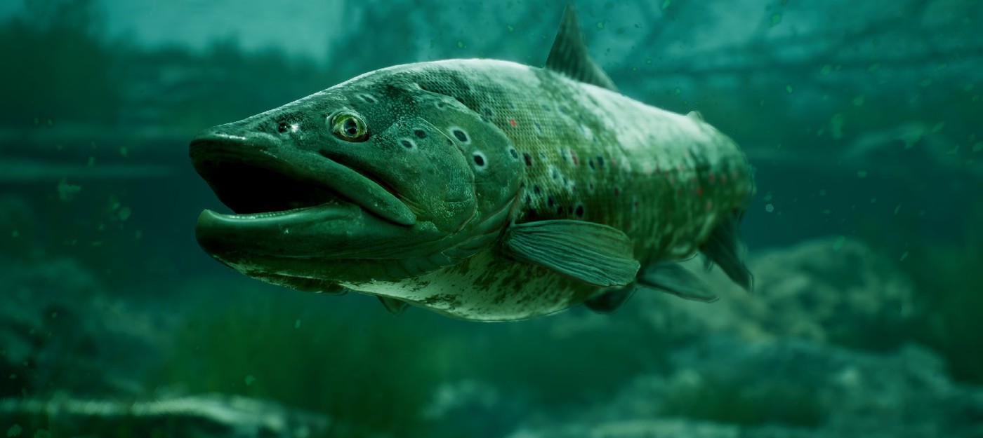 Рыбы-боссы в первом трейлере симулятора рыбалки The Catch: Carp & Coarse