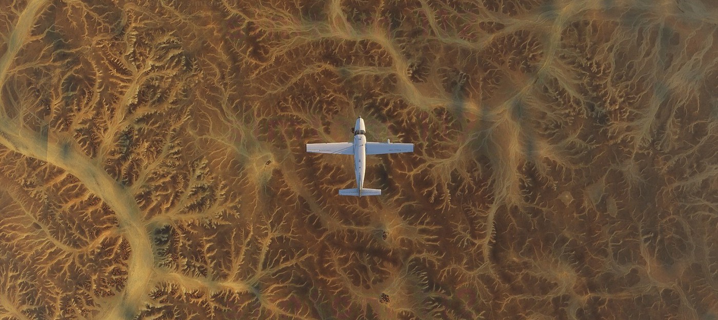 Бескрайние просторы и жирафы на новых скриншотах Microsoft Flight Simulator