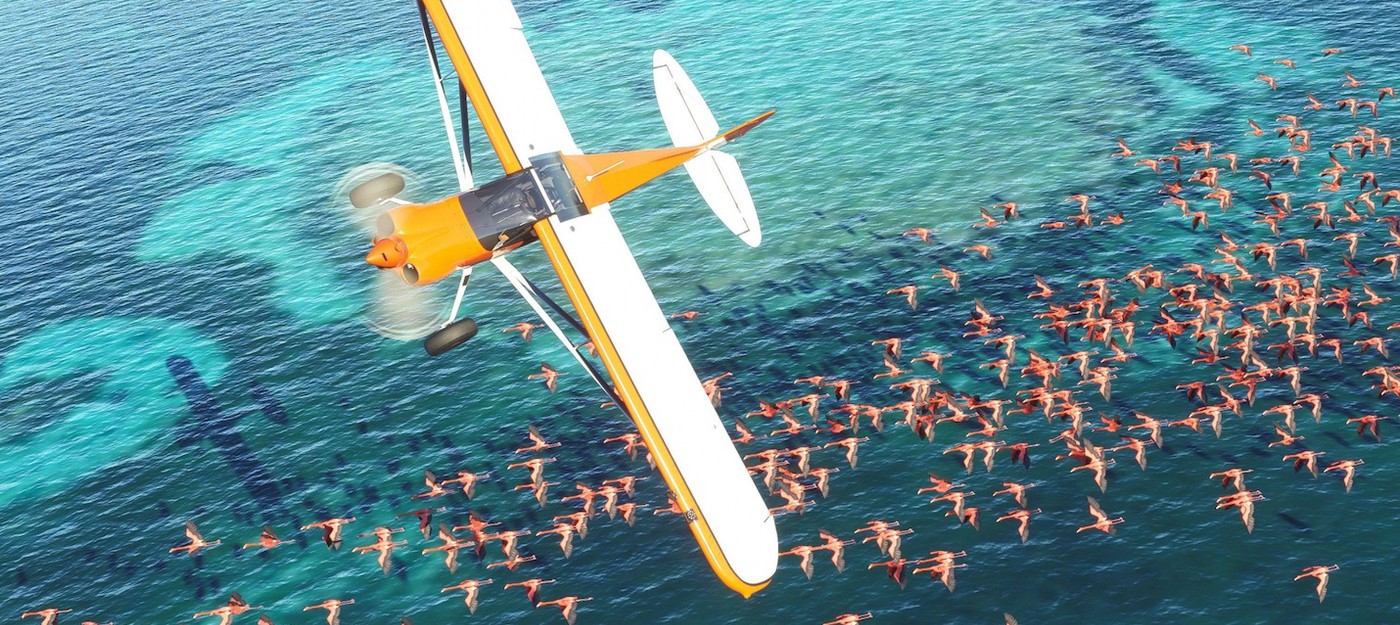 Закрытая бета Microsoft Flight Simulator стартует в июле
