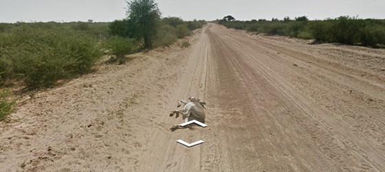 Самые необычные встречи Google Street View