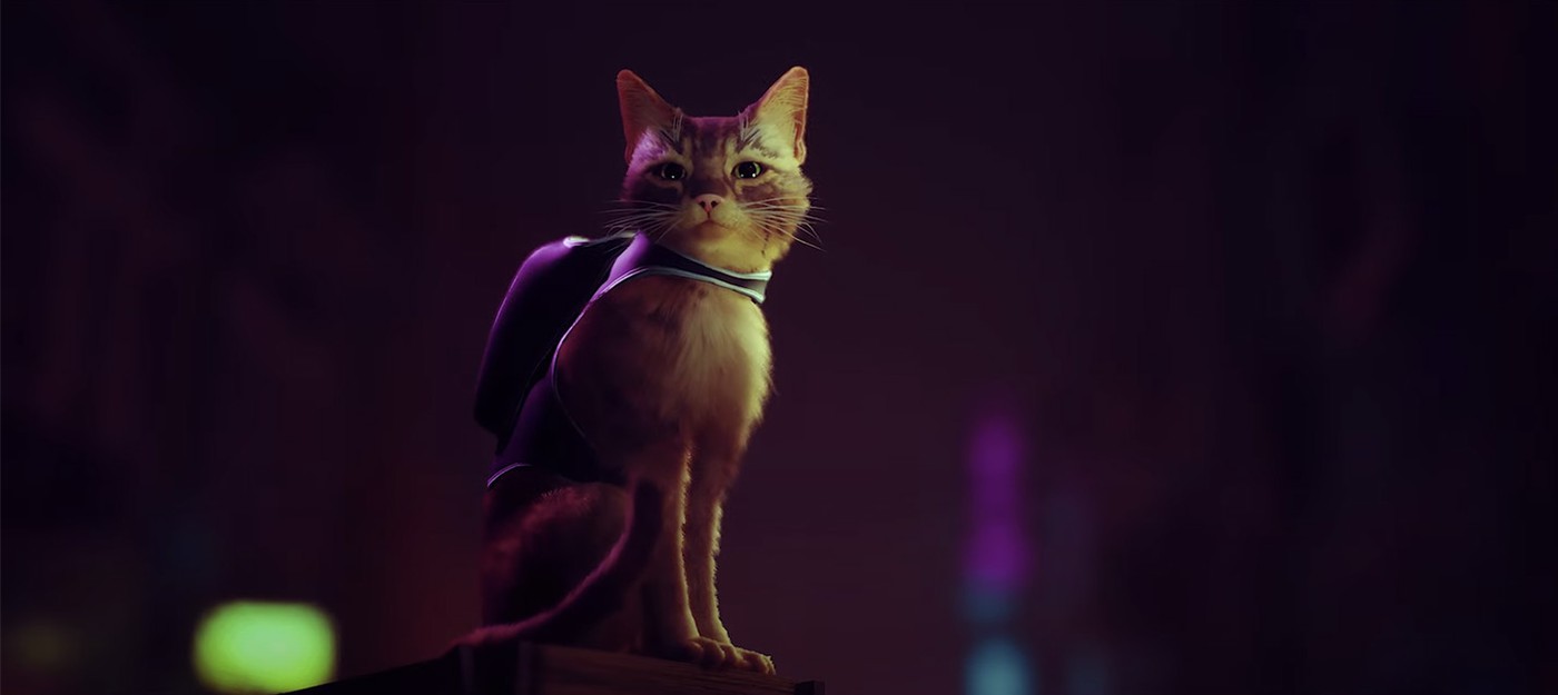 Для PS5 анонсирован симулятор бездомного кота Stray — релиз в 2021 году