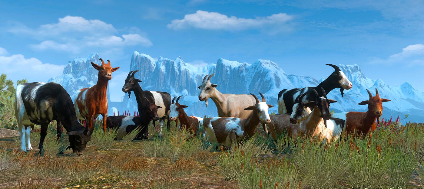 The Witcher 3: Wild Hunt можно бесплатно забрать в GOG