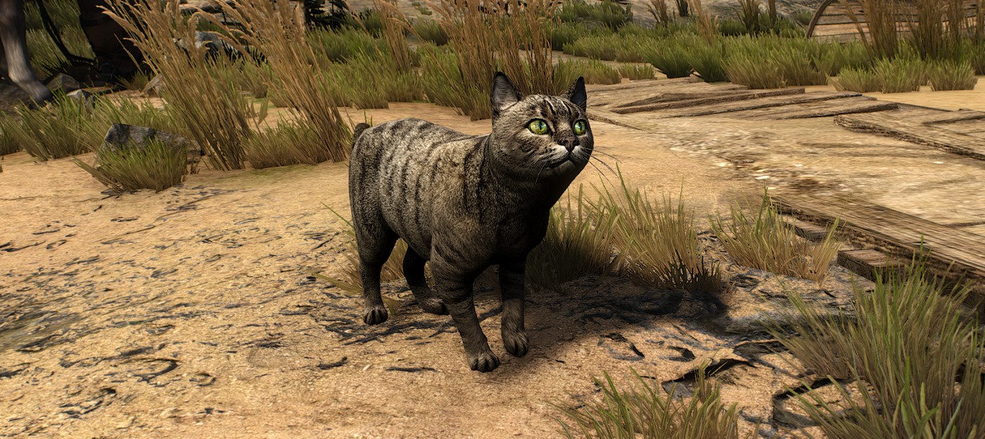 Улучшенные текстуры котиков, лошадей и пантер — для The Witcher 3 вышел новый мод