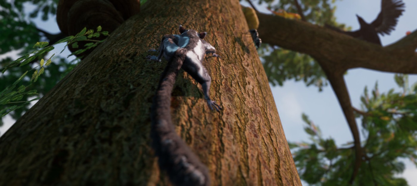 Адвенчура Away: The Survival Series с белкой-летягой выйдет на Xbox One в этом году