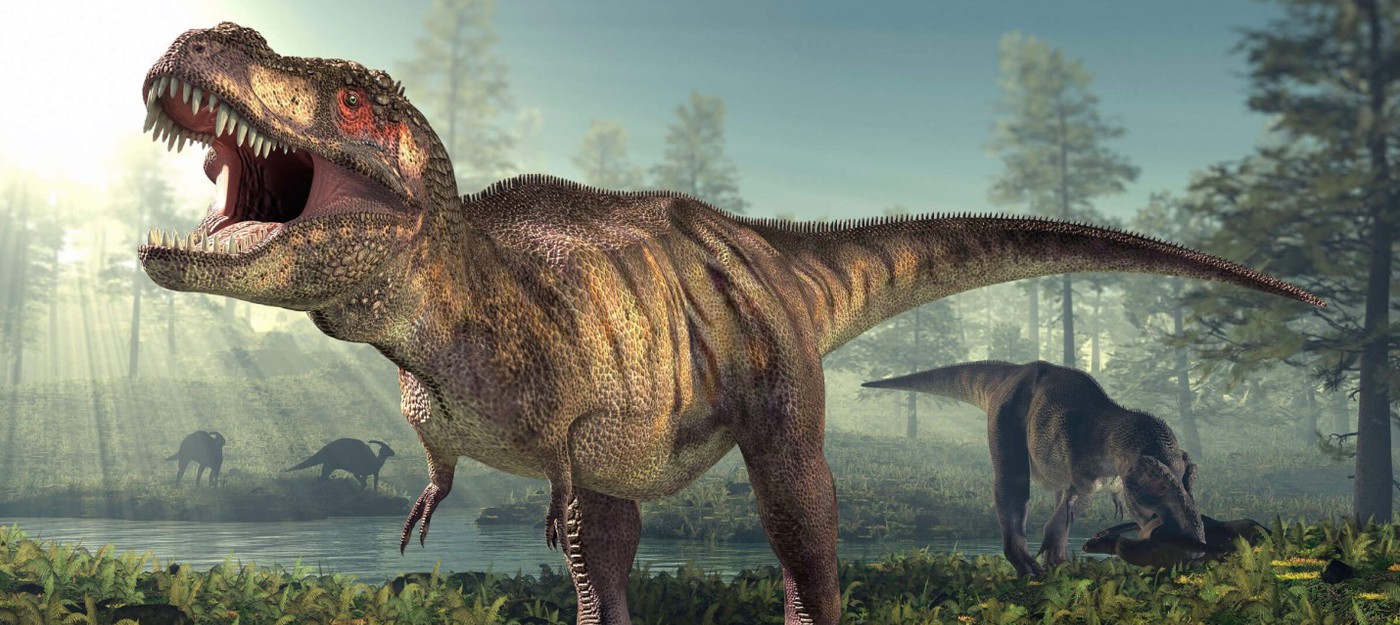 Ученые установили, сколько тираннозавров населяли Землю
