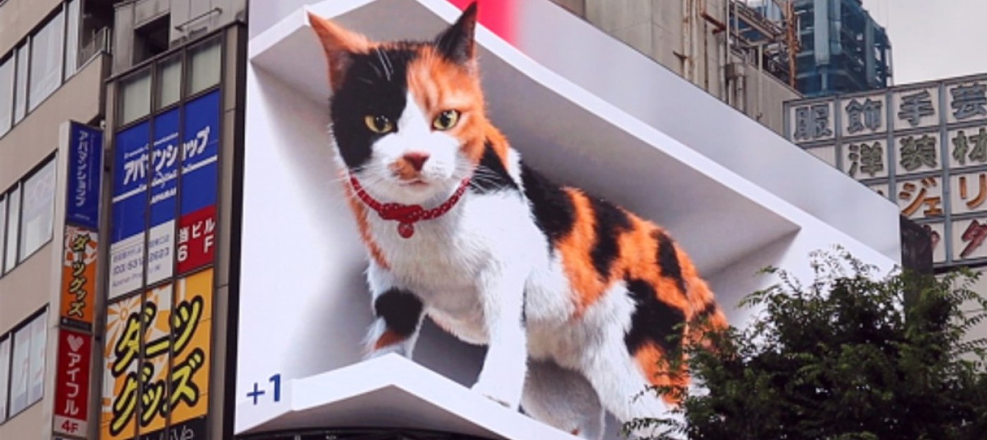 На одной из улиц Токио появился огромный 3D-кот