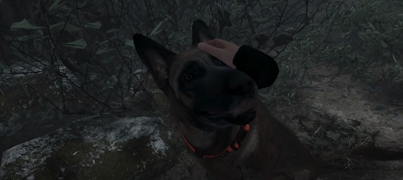 Хоррор Blair Witch получил VR-версию для Oculus Rift — в ней можно гладить собаку