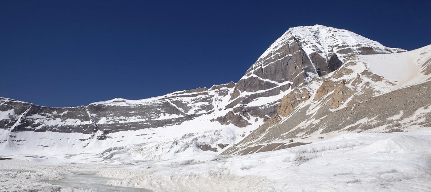 В тибетском леднике нашли неизвестные науке вирусы