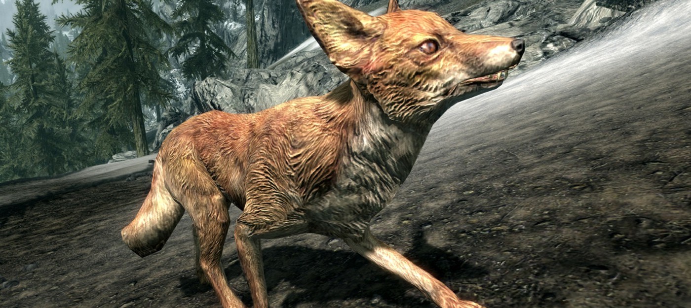 Разработчик Skyrim подтвердил миф о лисицах, которые приводят игроков к сокровищам
