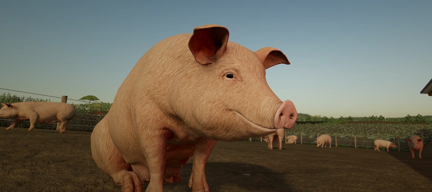 Коровы, свиньи и другие животные в трейлере Farming Simulator 22