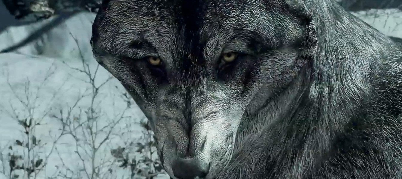 Acitivision выпускает "Волчий" скин для Call of Duty: Ghosts