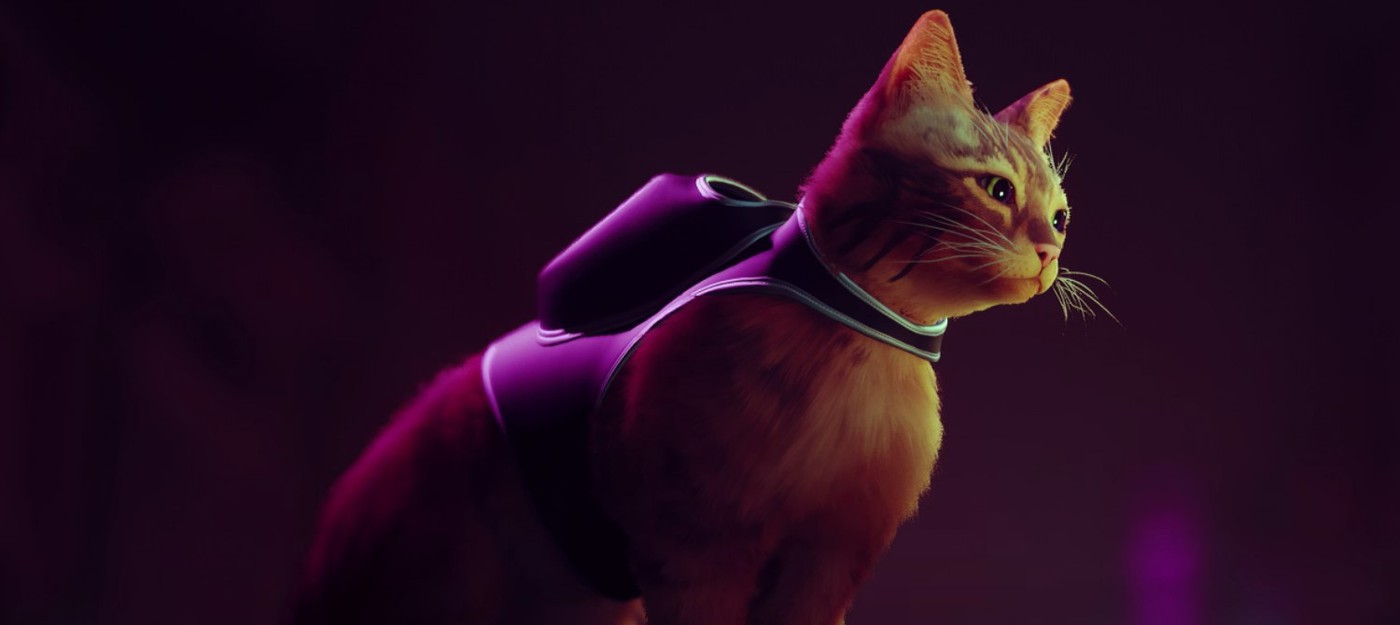 Stray про кота в киберпанке стала самой ожидаемой игрой в Steam