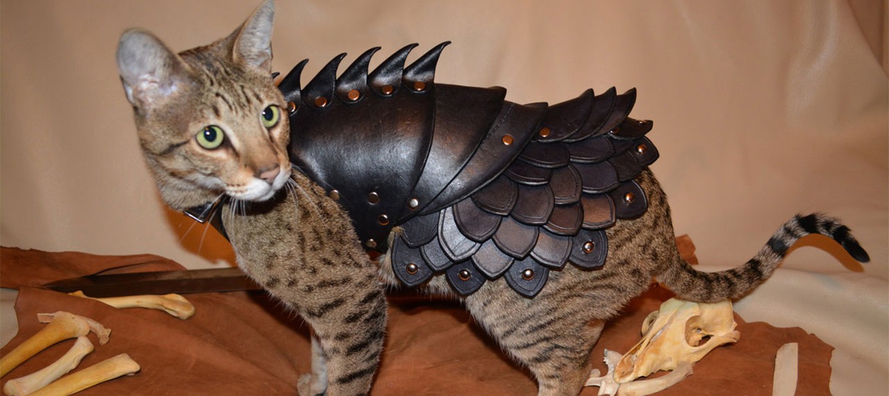 Кожаная боевая броня для вашей кошки