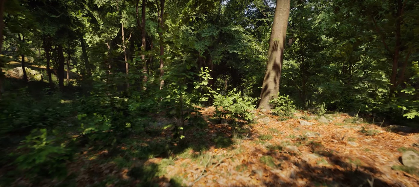 Вышло красивое демо Unreal Engine 5 с реалистичным лесом