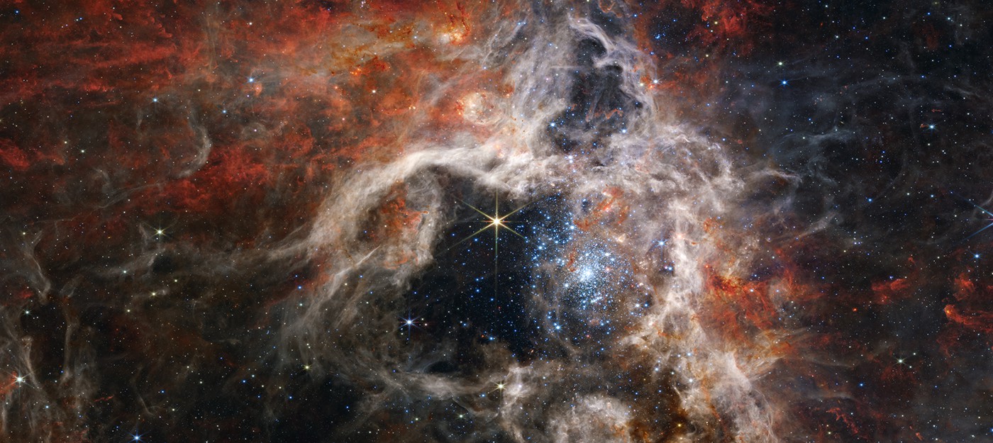 Телескоп Уэбба заглянул в глубину Туманности Тарантул, где рождаются звезды