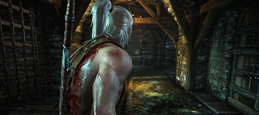 Видео: 15 минут геймплея The Witcher 2