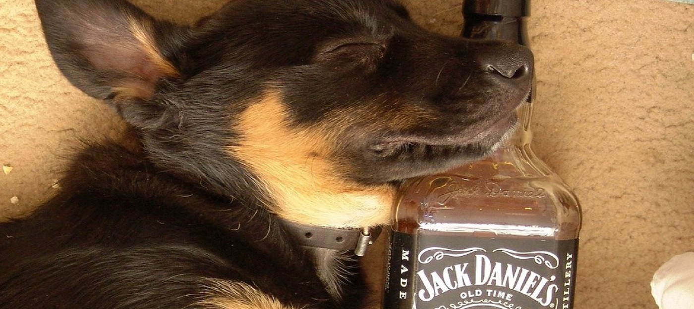 Верховный суд США решит, нарушает ли игрушка для собак в форме бутылки виски права компании Jack Daniel's