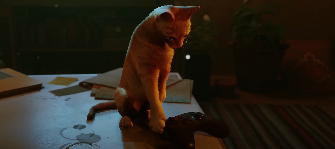 Игра про киберпанкового кота Stray вышла на консолях Xbox