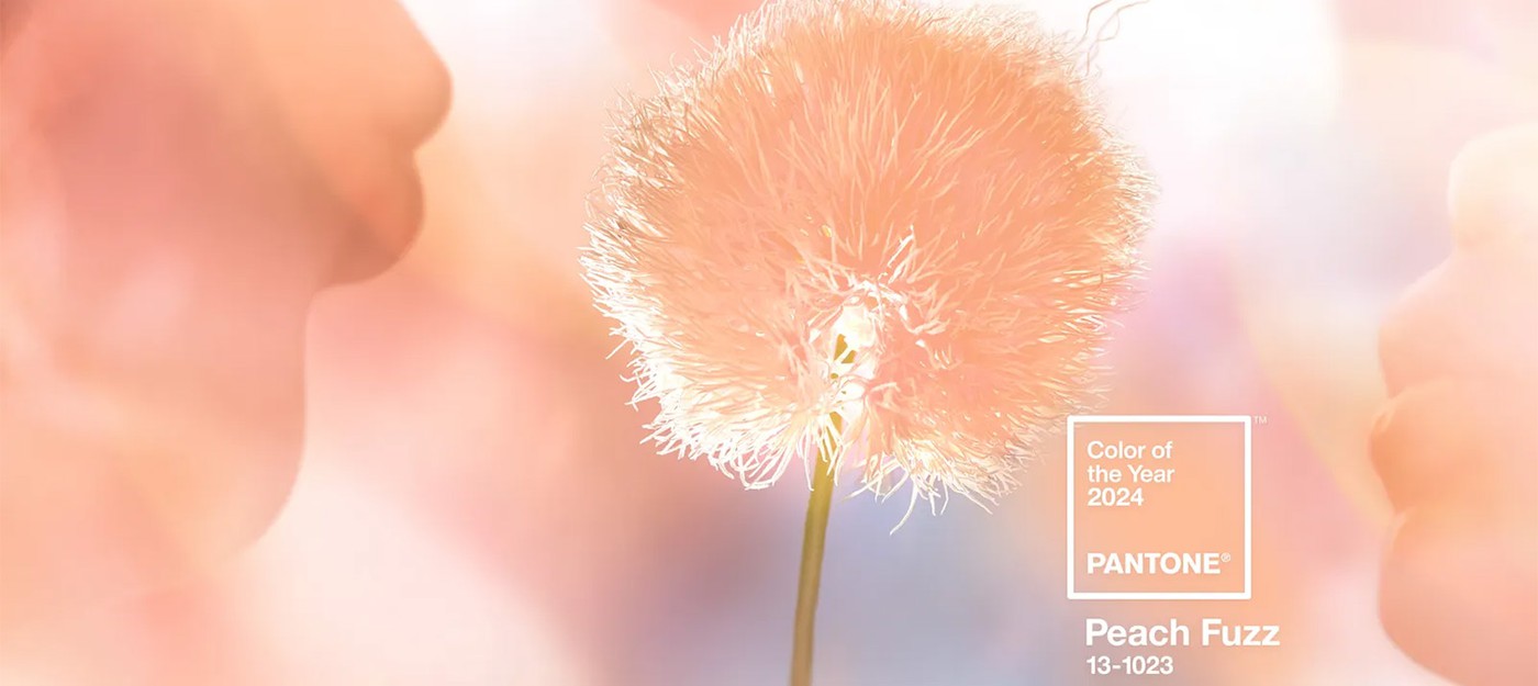 Персиковый пух признан цветом 2024 года Pantone