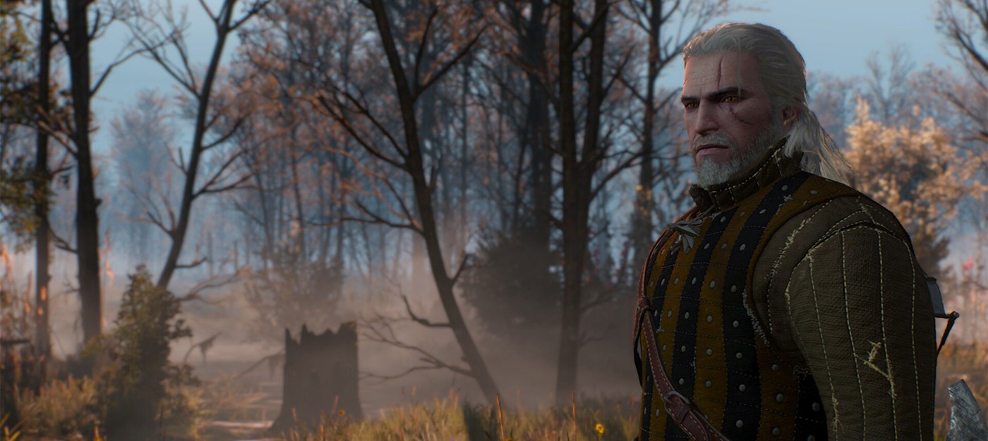 Этот мод восстанавливает систему репутации, которую CD Projekt RED вырезала из The Witcher 3