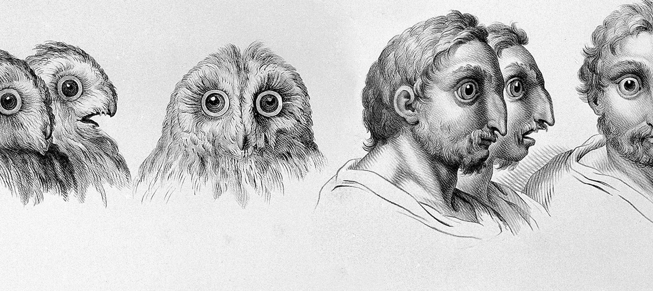 Зарисовки эпохи Ренессанса с ранними идеями эволюции