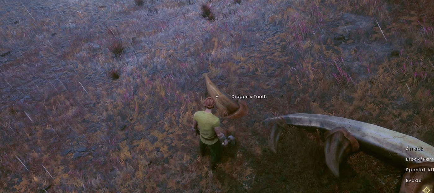 Как добыть Зуб дракона в Runescape: Dragonwilds