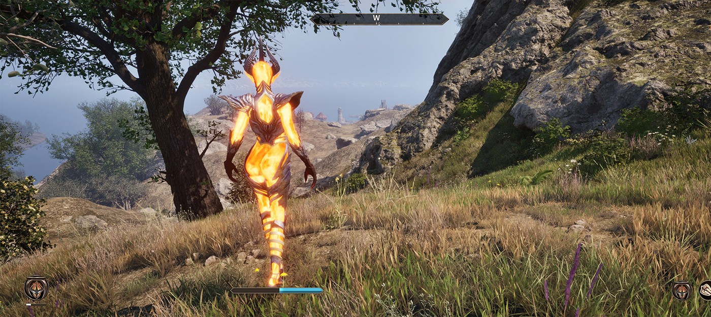 Бывший глава Blizzard сомневается в ценности Oblivion Remastered, сравнивая RPG с Elden Ring