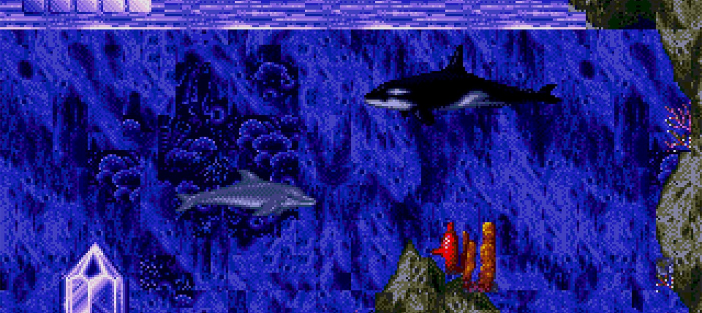 Создатели культовой Ecco the Dolphin анонсировали два ремастера и новую игру серии