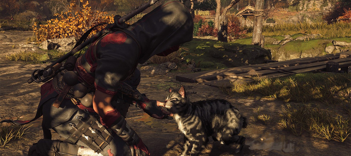 Ubisoft объяснила отсутствие возможности убивать животных в Assassin's Creed Shadows