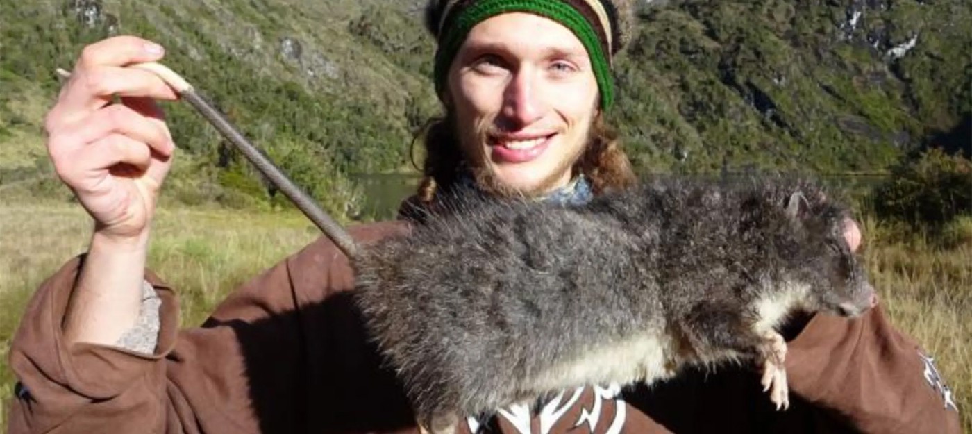 Гигантскую крысу размером с кота впервые за 30 лет сняли на видео