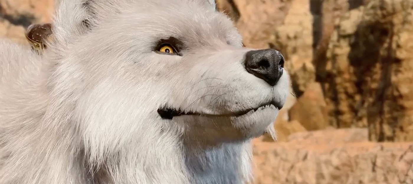 Игроки Baldur's Gate 3 обнаружили умилительную кат-сцену с друидом в форме волка