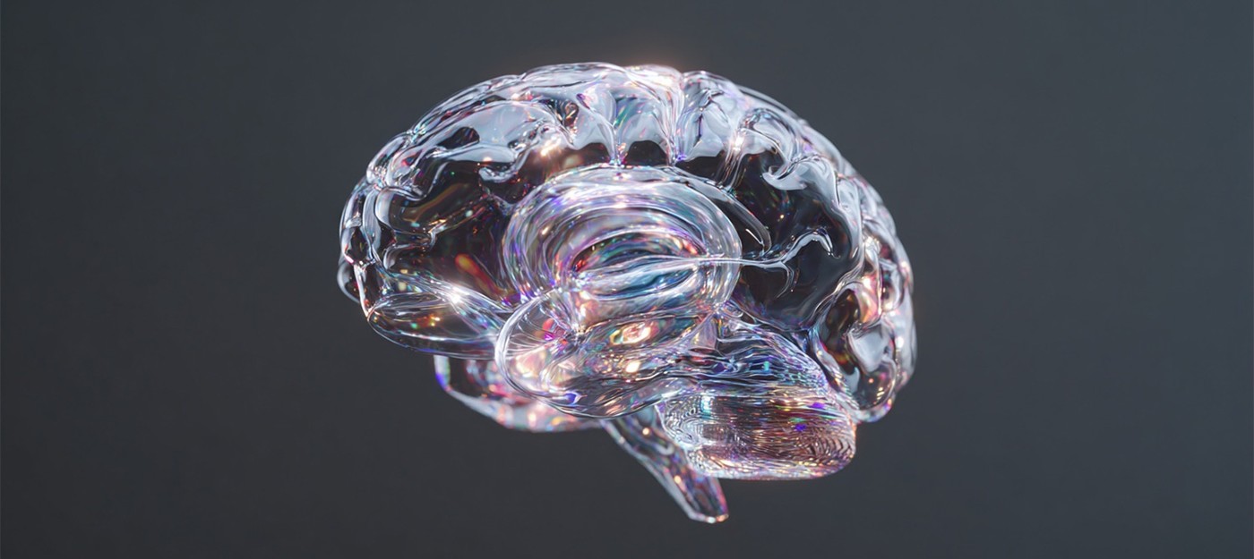 Новое исследование опровергает миф о прекращении роста клеток мозга после детства