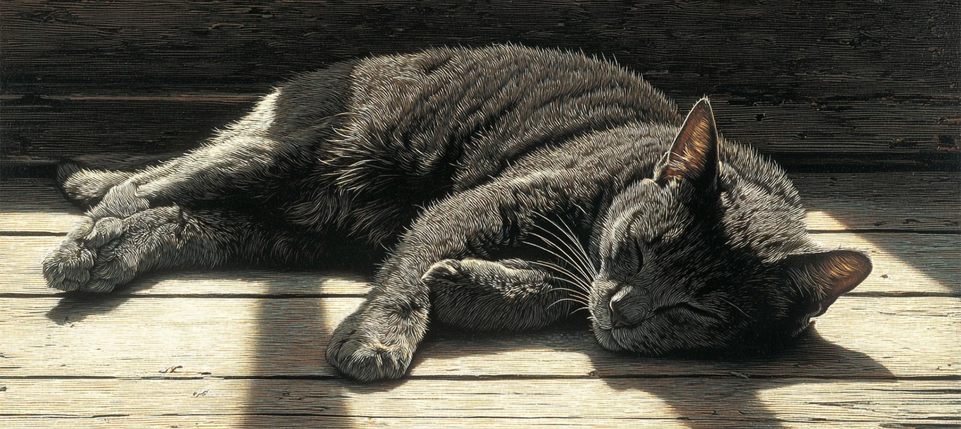 Большинство кошек спят на левом боку, и ученые думают, что знают почему