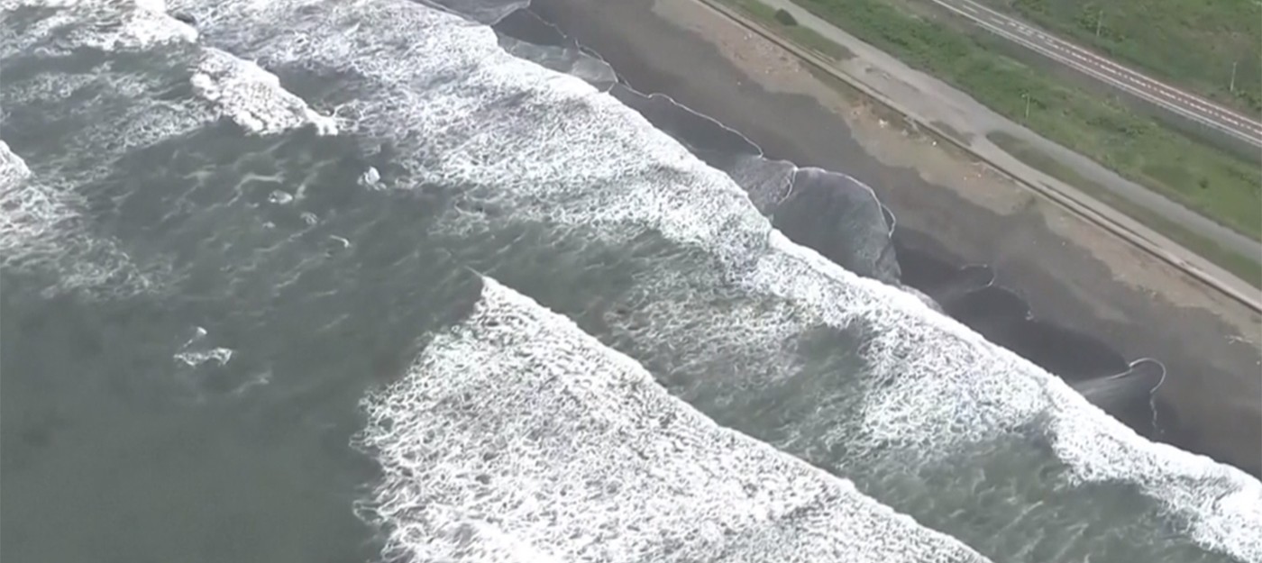 У берегов России произошло одно из мощнейших землетрясений, на Курильских островах объявлен режим ЧС, волны уже достигли Гавайских островов