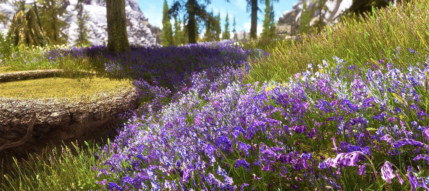 Игрок Skyrim случайно узнал о своем дальтонизме благодаря цветам на горных склонах