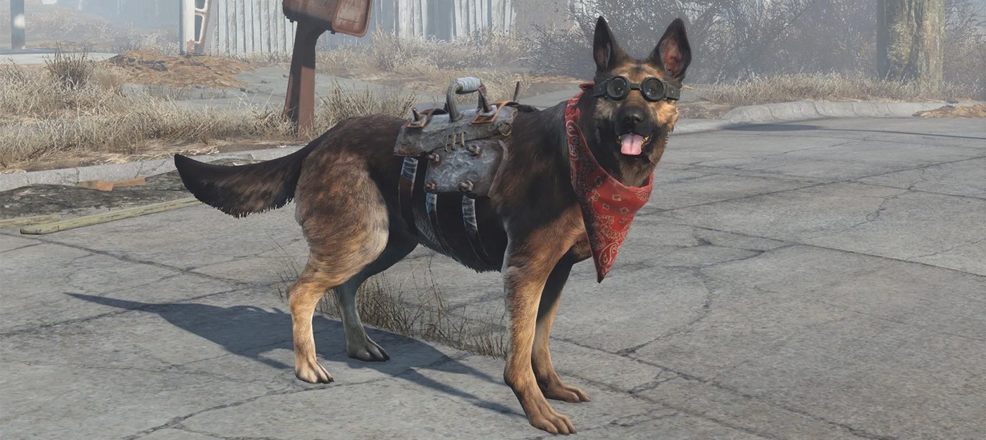 История всех воплощений Псины в Fallout раскрывает неожиданные связи между частями