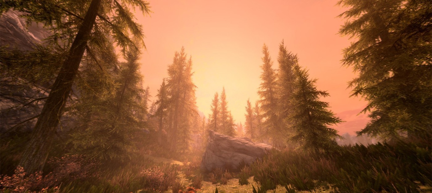 Бывший топ-менеджер Bethesda рассказал о кардинальных изменениях студии после сделки с Microsoft