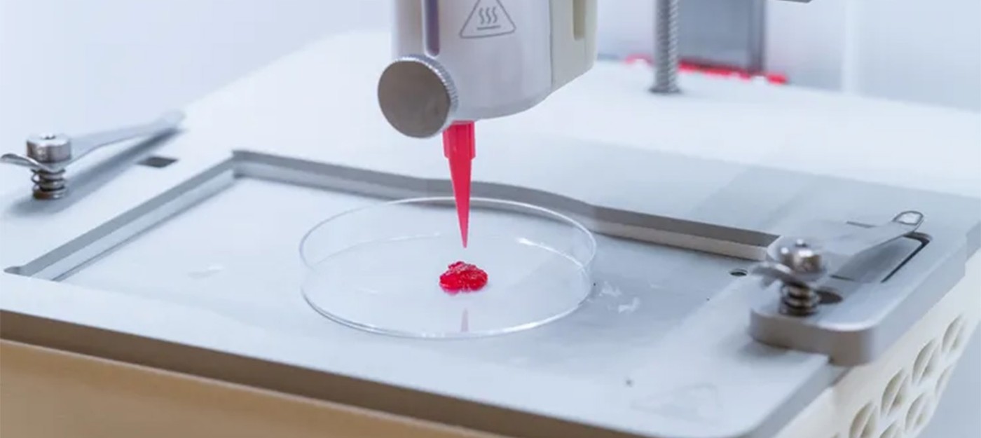 Шведские учёные создали революционные методы 3D-печати искусственной кожи с кровеносными сосудами