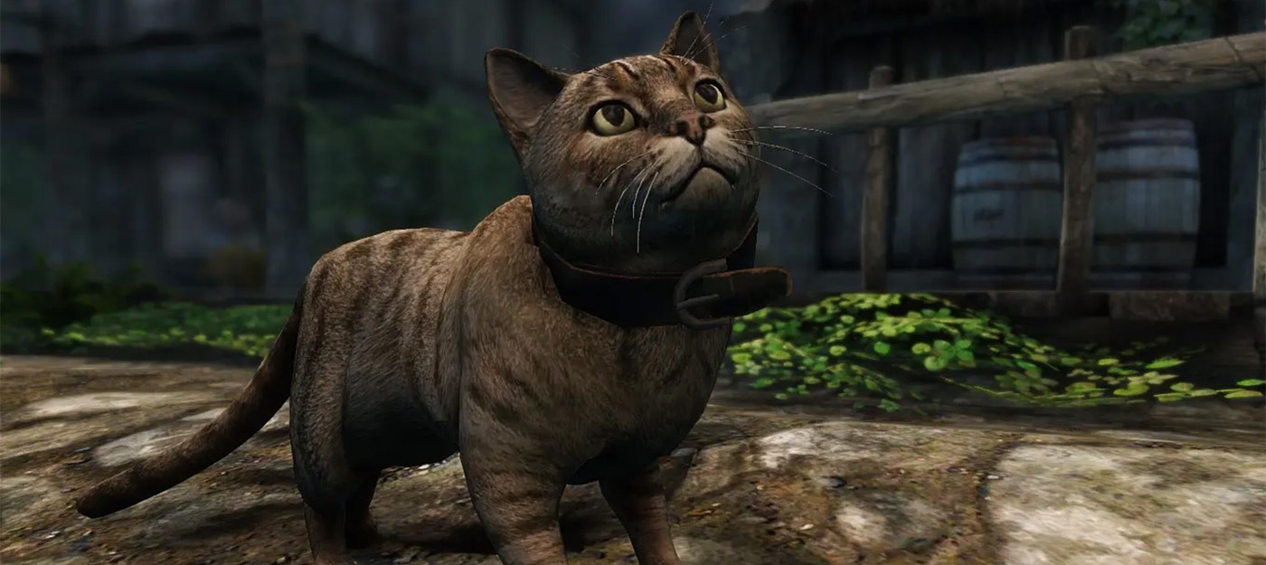 Классический Skyrim – пришел посмотреть на толстого кота, а закончил убийством Назима