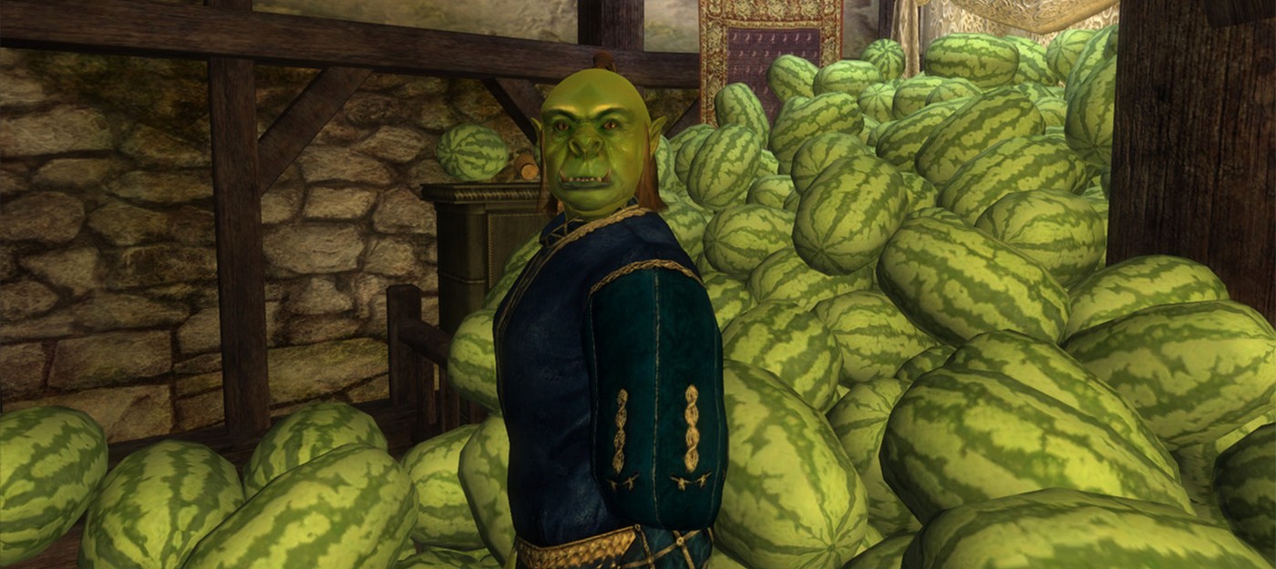 Фанаты Oblivion внезапно нашли гениальную шутку, скрытую почти 20 лет